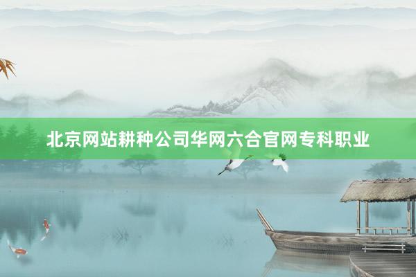 北京网站耕种公司华网六合官网专科职业