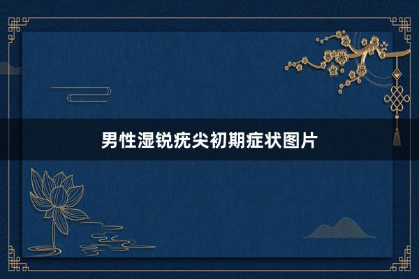 男性湿锐疣尖初期症状图片