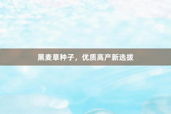 黑麦草种子，优质高产新选拔