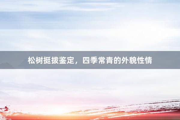 松树挺拔鉴定，四季常青的外貌性情