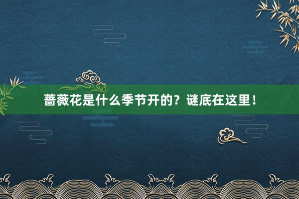 蔷薇花是什么季节开的？谜底在这里！